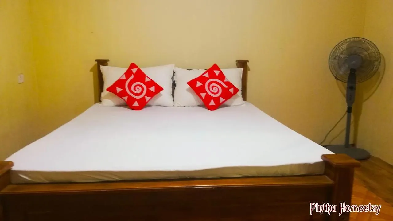 منزل للإقامة Pinthu Home Stay سيغيرِيا