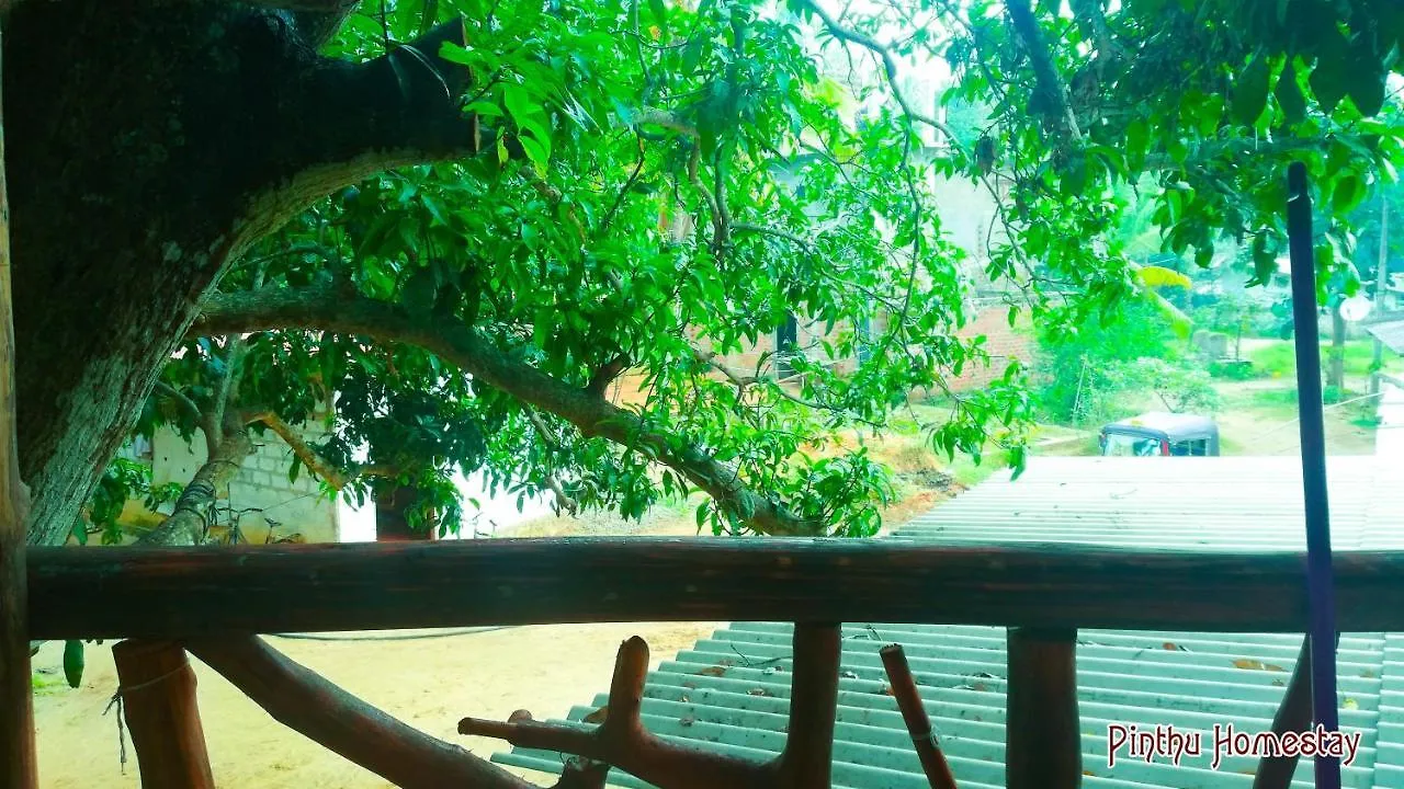 Pinthu Home Stay Sigiriya