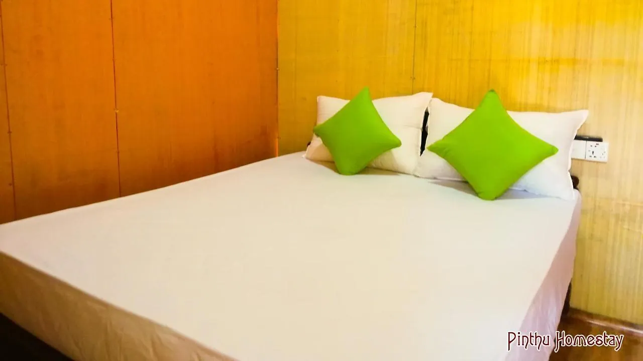 Accommodatie bij particulieren Pinthu Home Stay Sigiriya