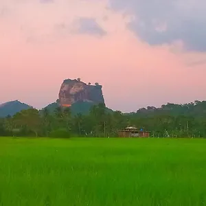 Nice View Sigiriya