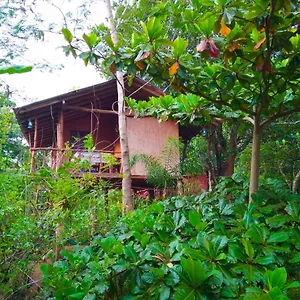 Akash Treehouse Habitación en casa particular