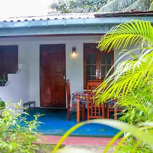  Privatunterkunft Sun Flower Homestay