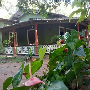 Alloggio in famiglia Green Bamboo House, Sigiriya