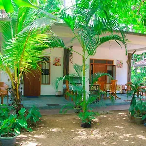 Amba Sewana Homestay Sigirîya