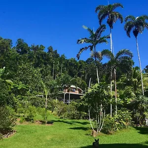 A Daintree Garden Holiday home Diwan